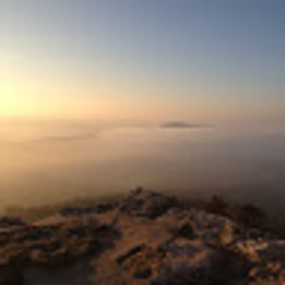 Meet your Posher, Avida - Picture 1 of 1